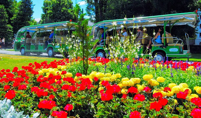 Botanic Garden Tour