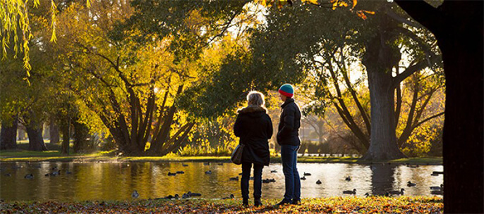 Hagley Park